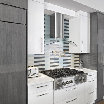 Contemporary kitchen, an On-the-Go Lifestyle