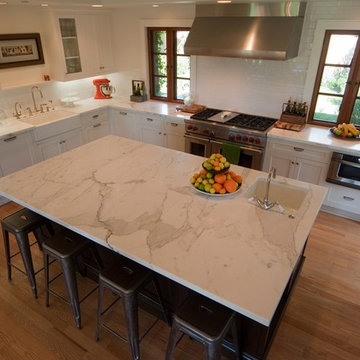 White Transitional Kitchen in San Clemente