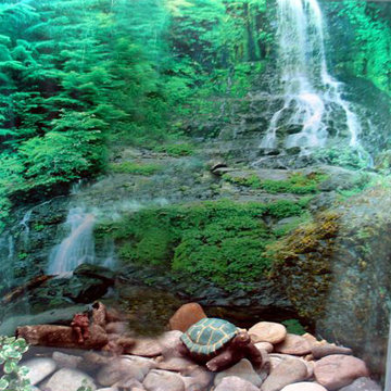 Rock and fake turtle were added to this window well scene
