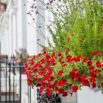 Window boxes and planters in the city