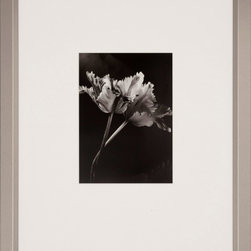 CR2 Custom Frame Collection - Picture Frames