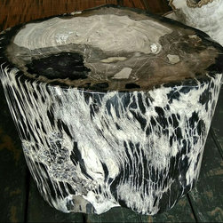 Petrified Wood Online Store - Products
