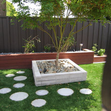 raised beds