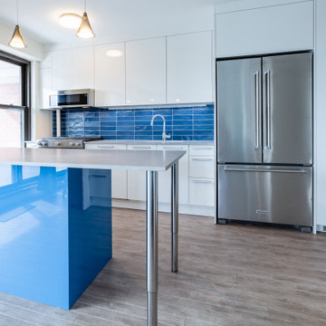Lower East Side Leicht Kitchen Renovation