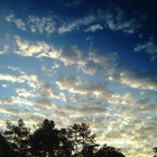 Lauren Resnick's photo