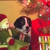 Tiffany Trusnik's photo