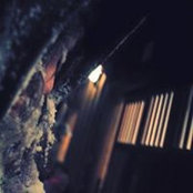 Celia Lins foto