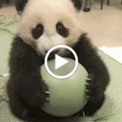 Lin Shi's photo