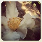 Sara's photo