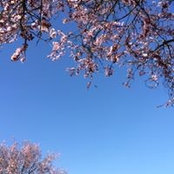Foto von Mao Hui