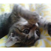 Jill Zink's photo