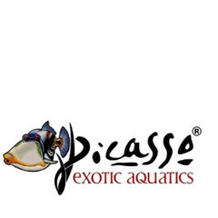 Picasso Exotic Aquatics
