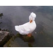 Sam Z's photo