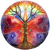 Deborah Mehigan's photo