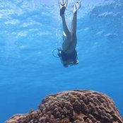 Monica Arango's photo
