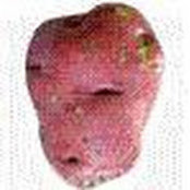 Kenneth Ball's photo