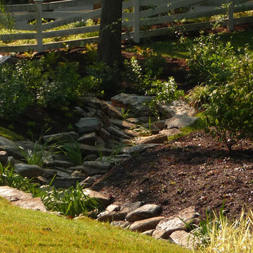 Creek Swales