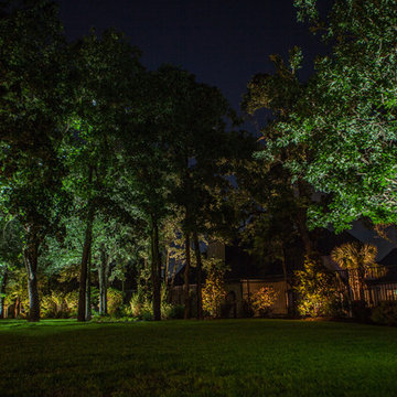 Low Voltage Up Lighting and Moon Lighting- Southlake