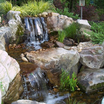 Water Gardens