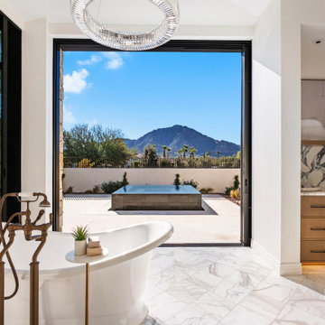 Cactus Wren | Luxury Staging