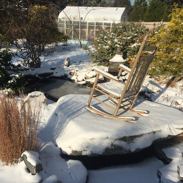 Winter Interest