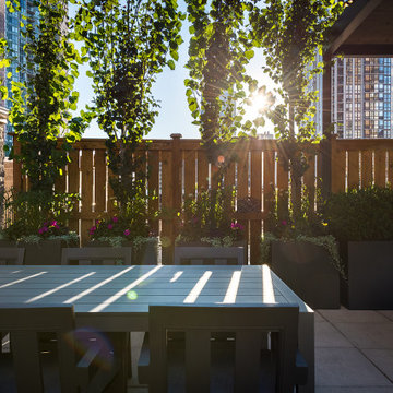 Chicago Multi Unit Rooftop Deck