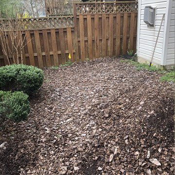 Backyard Crash