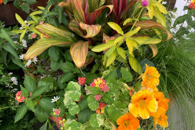 Inspiration for a contemporary full sun landscaping in New York for summer.