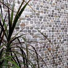 accent wall