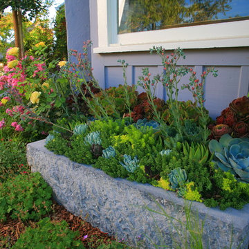 Lisa Cox Landscape Design Wine Tasting Room - Los Olivos, CA