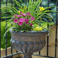Windsor garden