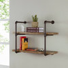 Danya B. 2 Tier Industrial Pipe Wall Shelf