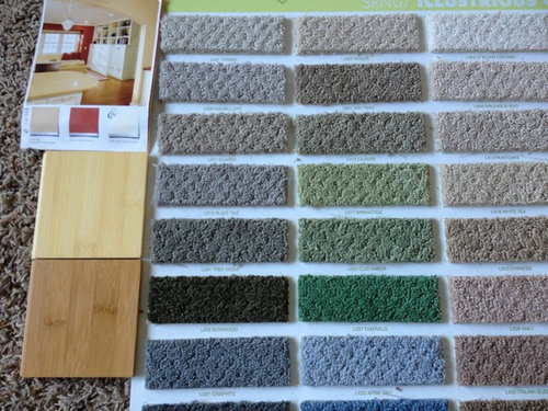 Help Me Choose A Carpet Color And Bamboo Floor - How To Choose Paint And Carpet Colors