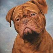 Chubbs Leveaux's photo