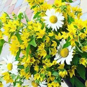 Foto von Светлана Беликова