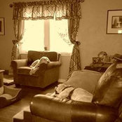 Dale Schock's photo