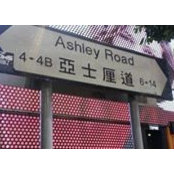 Ashley Tohs foto