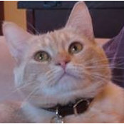 Susan Ruby's photo