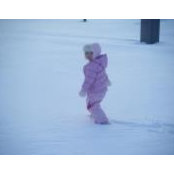 Sandy Furgason's photo