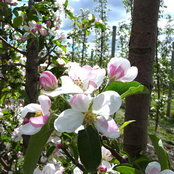 olga mclean's photo