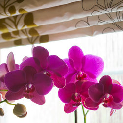 Made to Measure Curtains and Blinds - Curtains