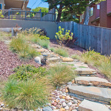 backyards
