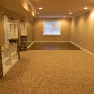 Basement Remodel