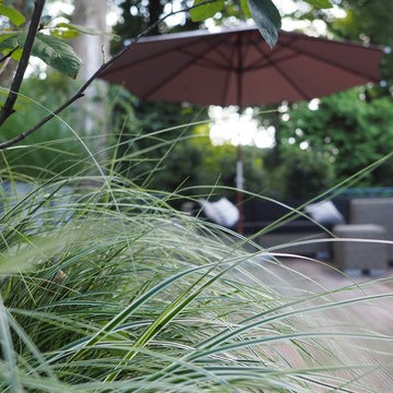 Waldterrasse im Bergischen Land