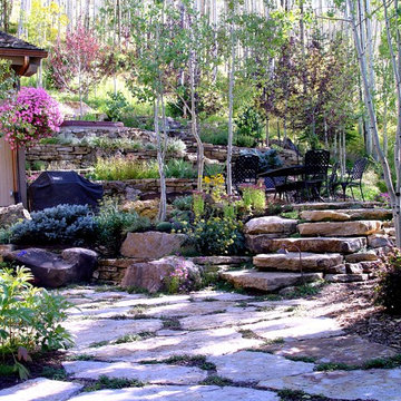 Terraced Landscape