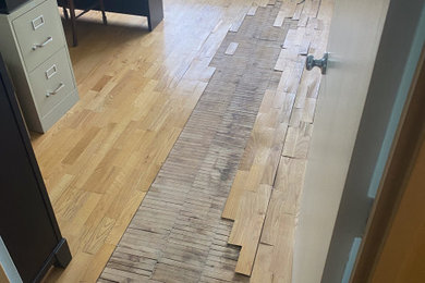 New Engineered Hardwood After Water Damage in John Hancock Building