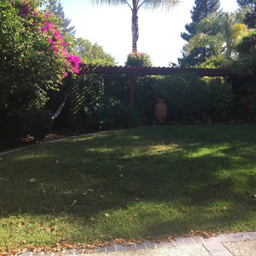 Lawn Goodbye: Hello Putting Green