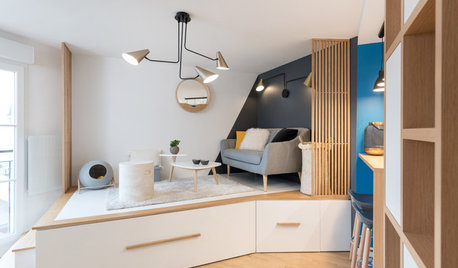 Aus eins mach drei: 20 Quadratmeter clever aufgeteilt