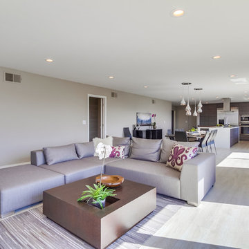 La Mesa_Modern Kitchen_Whole Home Remodel