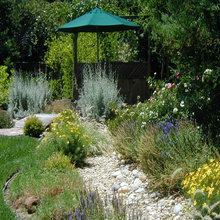 Landscape Ideas